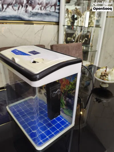 Small glass aquarium tank with lid and filter - ready to use 2