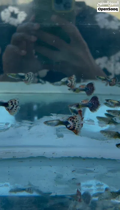 undefined 3