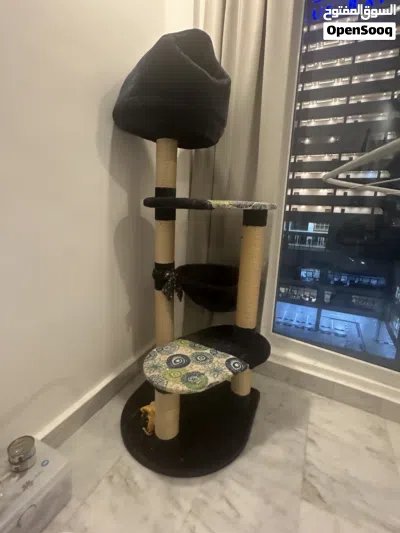 Pets accessories 3