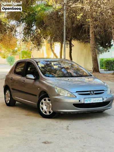 Peugeot 307 SW 4