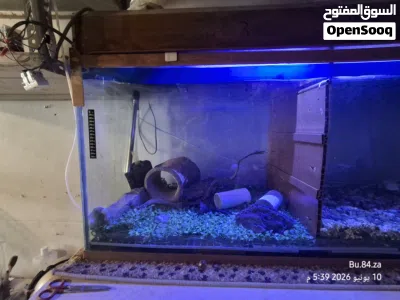 حوض سمك فلتر بايولجي علوي حجم كبير متر وثلاثين سانتي 1.30cm 4