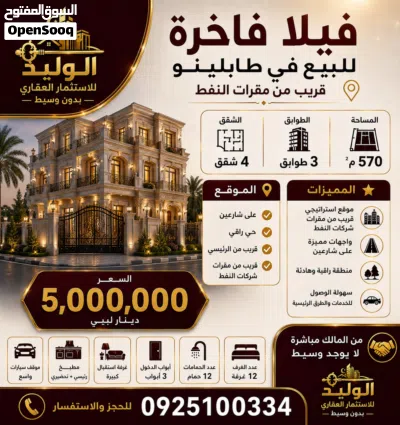 فيلا استثمارية في طبالينوا 2