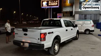 Ford F-150 XL 3