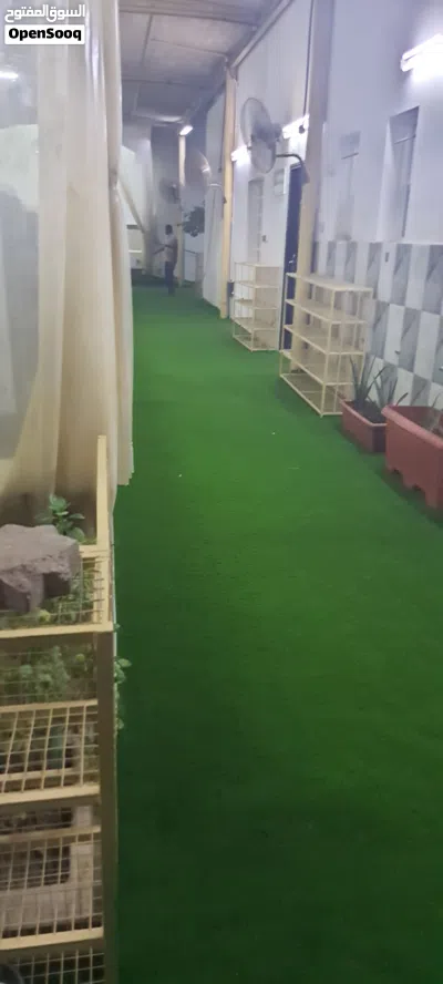 لعشب الصناعي بجميع انواعه 4