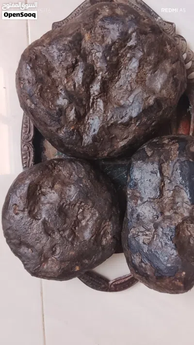 البيع عنبر الحوت لاشهب 2