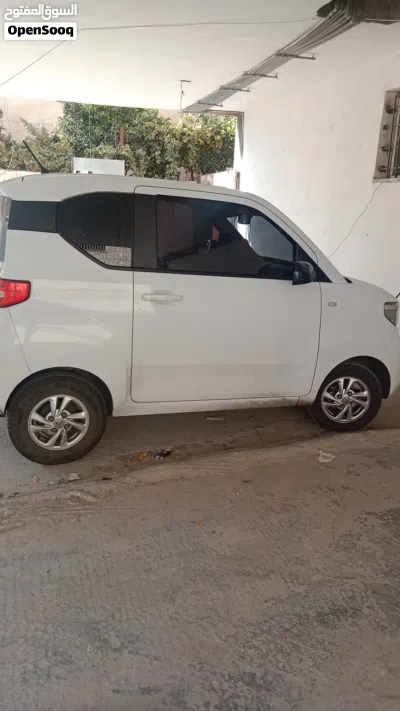 Wuling Other 2
