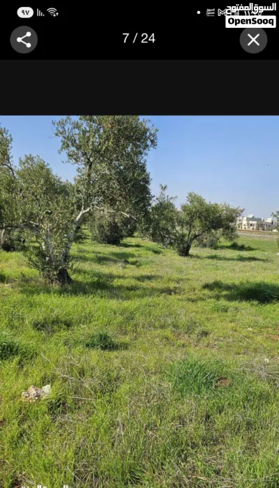 ارض في بشرى حوض دغيم مساحة 457 م 3