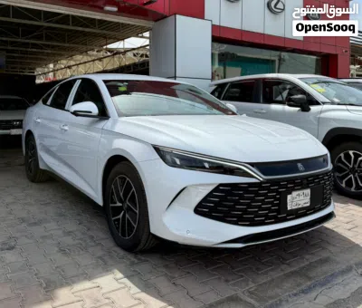 بیوایدی Qin 2