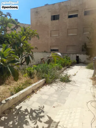 شقه تسويه مع حديقه واسعه للبيع ضاحية الرشيد بسعر مغري 3