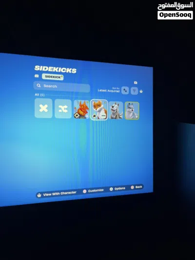 حساب فورت نايت نادر 2