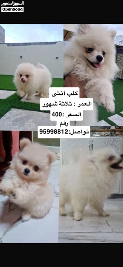 undefined 3