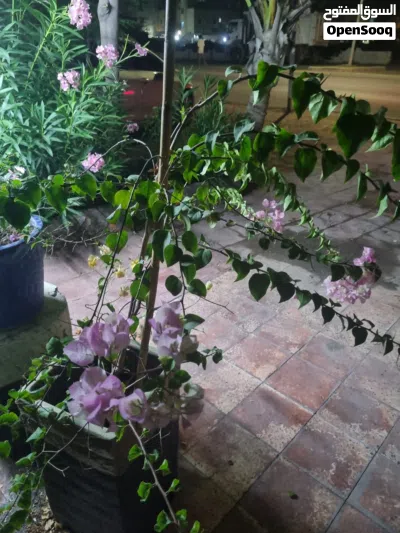 undefined 2
