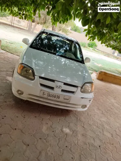 Hyundai Verna EX 4