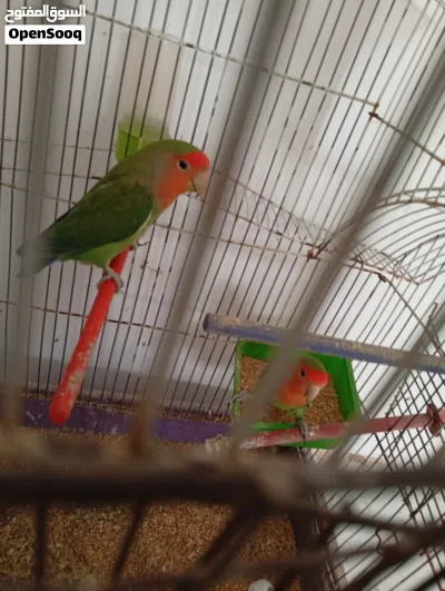 undefined 2