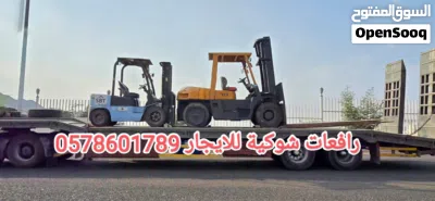 سيزرلفت للايجار الرياض مان لفت للايجار الرياض كرينات للايجار فوركلفت للايجار الرياض تاورات لايت للاي 3