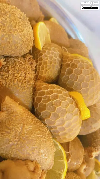 اكلات طيبة جاهزة 2