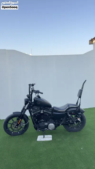 Harley Davidson Iron 883 2