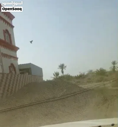 ارض في صحار كرون 2