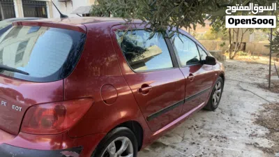 Peugeot 307 Standard 2