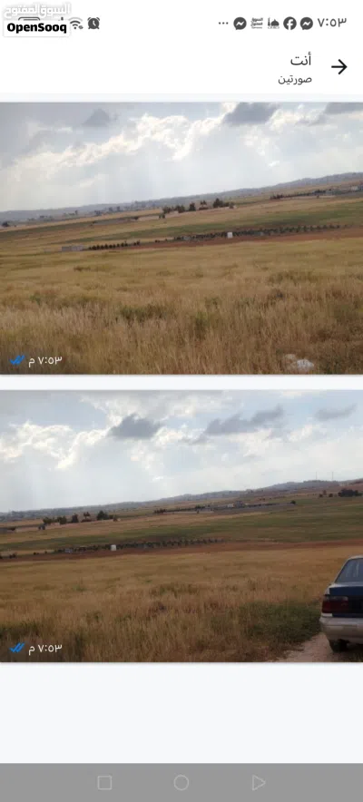 ارض زراعي كوشان مستقل 3 دونمات ونص للبيع 3