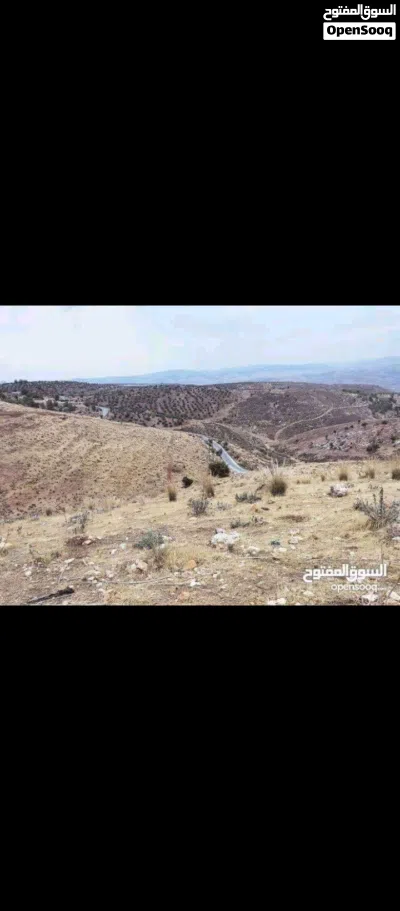 قطعه أرض مساحتها 3دونم 400متر غرب جرش برما مطله على مناطق السلط تصلح لعمل شليه او مزرعه 3