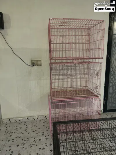 طير كرولطيرة يغرد صوت مره جميل 2