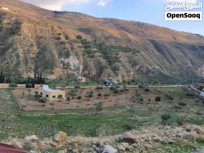 أرض زراعية في منطقة جلعد ألرميمين 2