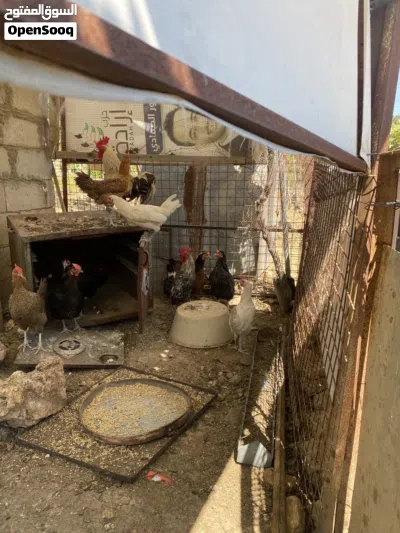 undefined 2