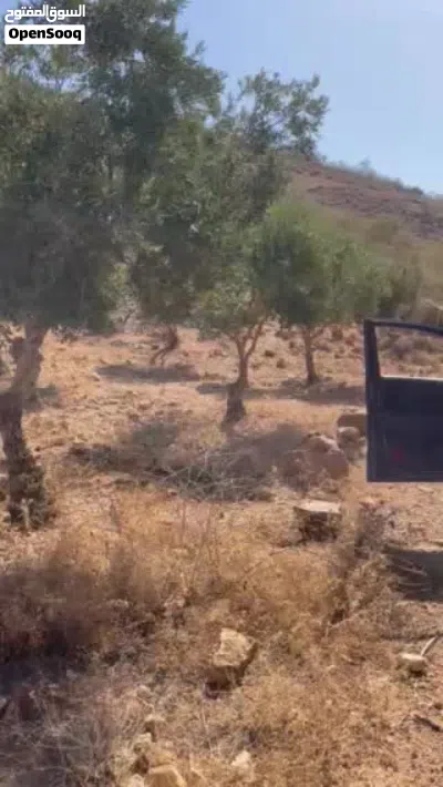 ارض مميزة في اجمل مناطق السلط بسعر مميز 2