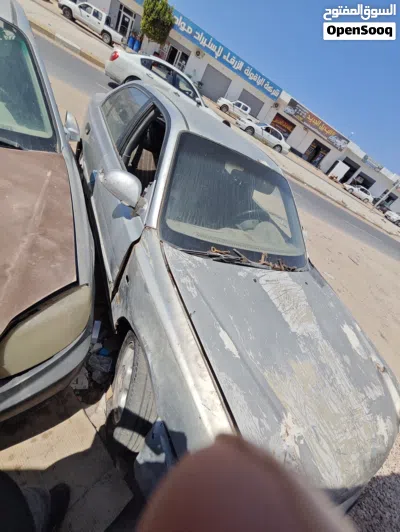 Hyundai Verna EX 3
