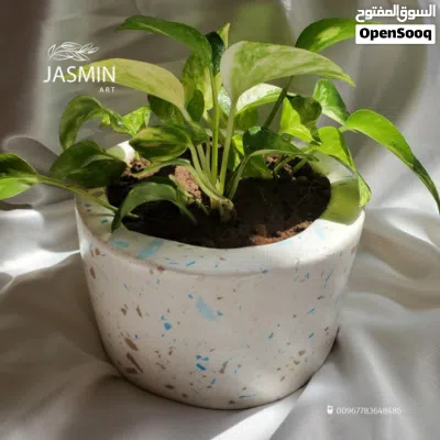 اصيص زراعي للنبات الطبيعي 4
