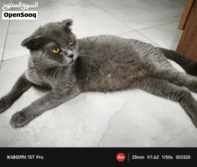 undefined 2
