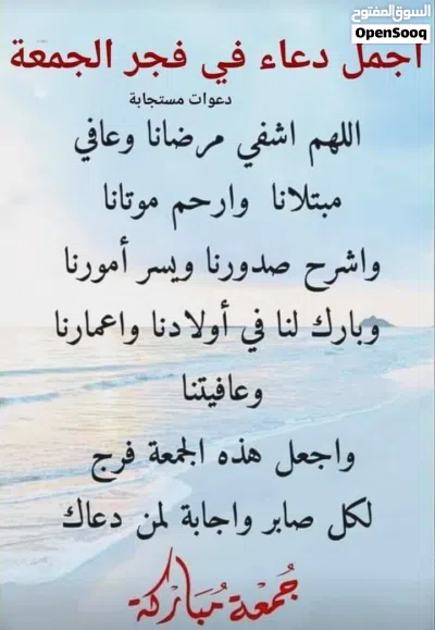 شقه في حي عندن قرب مسجد عثمان للبيع كاش فقط 2
