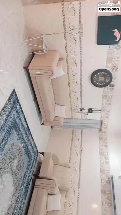 تخم للبيع 3