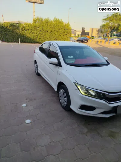 Toyota Corolla XLI 3