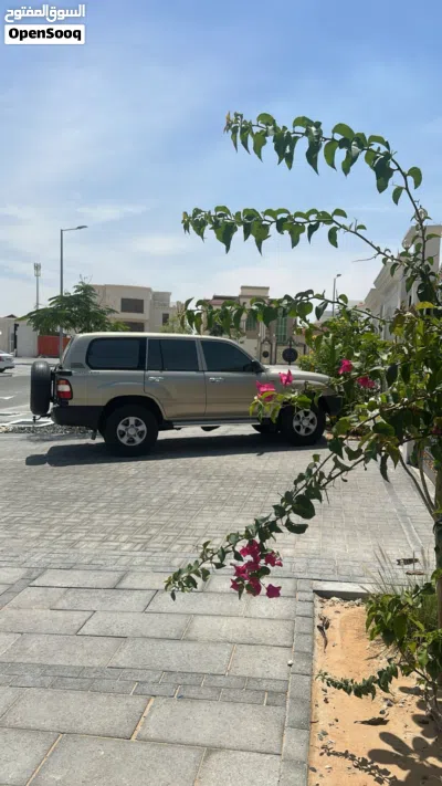 Toyota Land Cruiser GXR 3