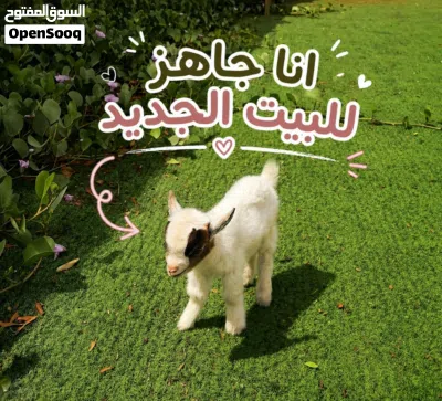 undefined 4