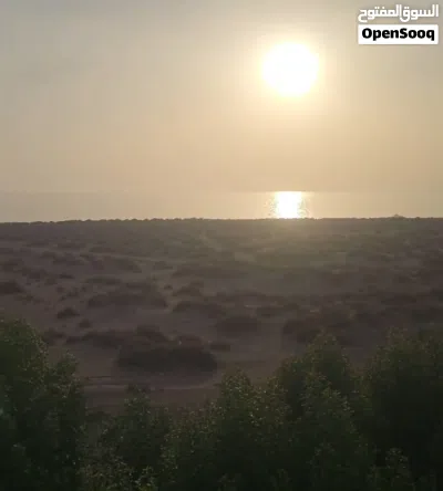 عروض على خط الصليف استثماريه سكنيه سياحيه تجاريه زراعيه 4