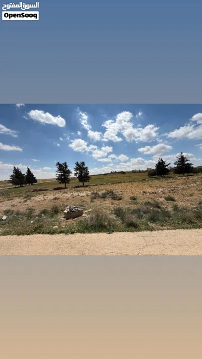 قطعه ارض في جلول داخل التنظيم 3