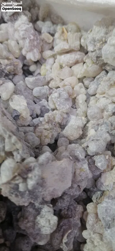 لبان حوجري للبخور ذو الريحه الزكيه عالي الجوده والسعر المناسب 4