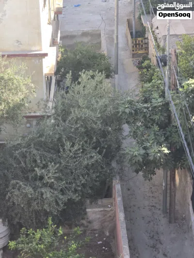 عماره للبيع ويمكن البيع كل شقه لوحدها 4