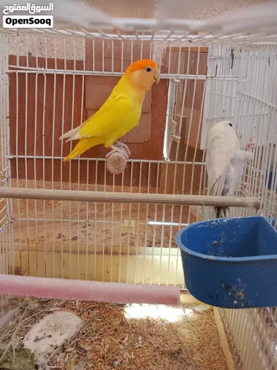 undefined 2