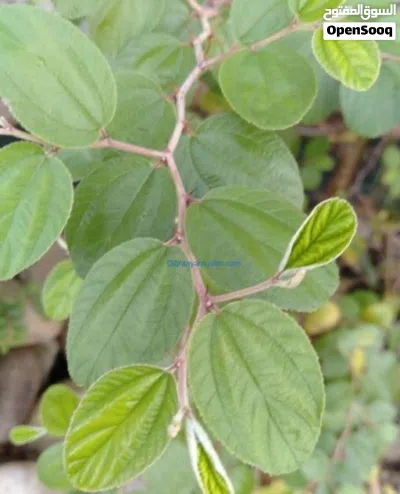 undefined 2