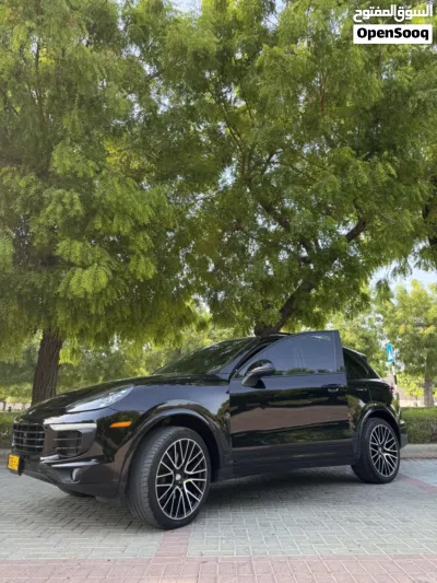 Porsche Cayenne Platinum Edition 3
