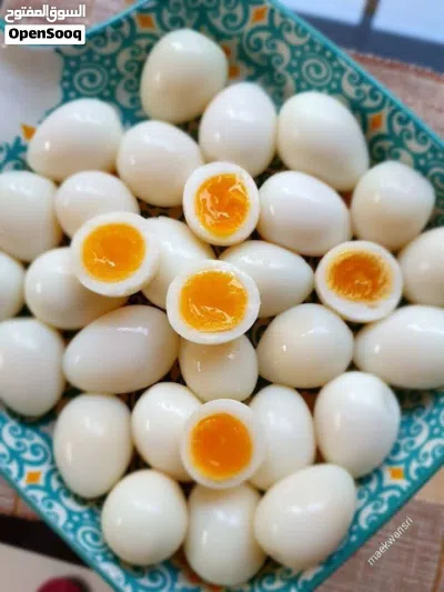 بيض طيور السمان 3