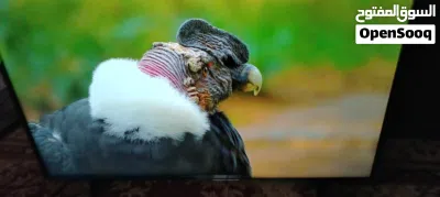 شاشه ناشونال 43 سمارت 4