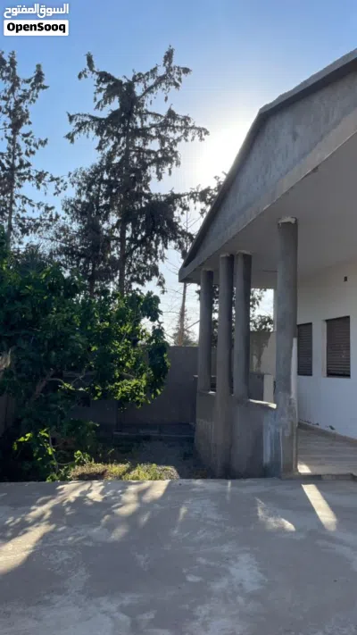 منول للبيع بئر الاسطي ميلاد 3