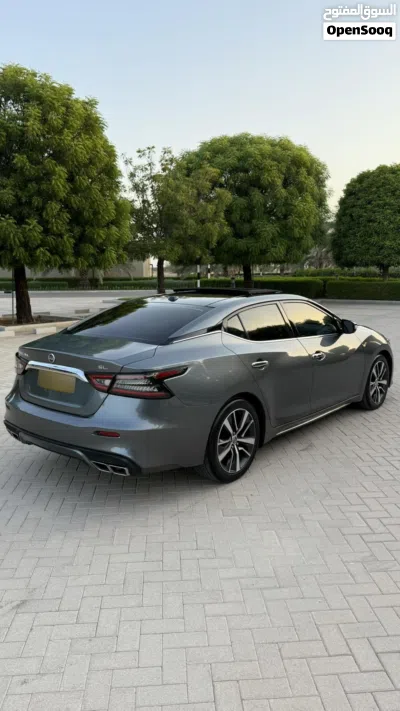 نيسان مكسيما SV 4