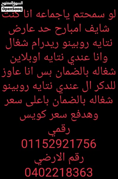 عصافير روز وفيشر و ردرام 4