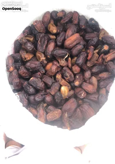 جواني سح نفيعه للحلال نضيف وانتاج الموسم 2